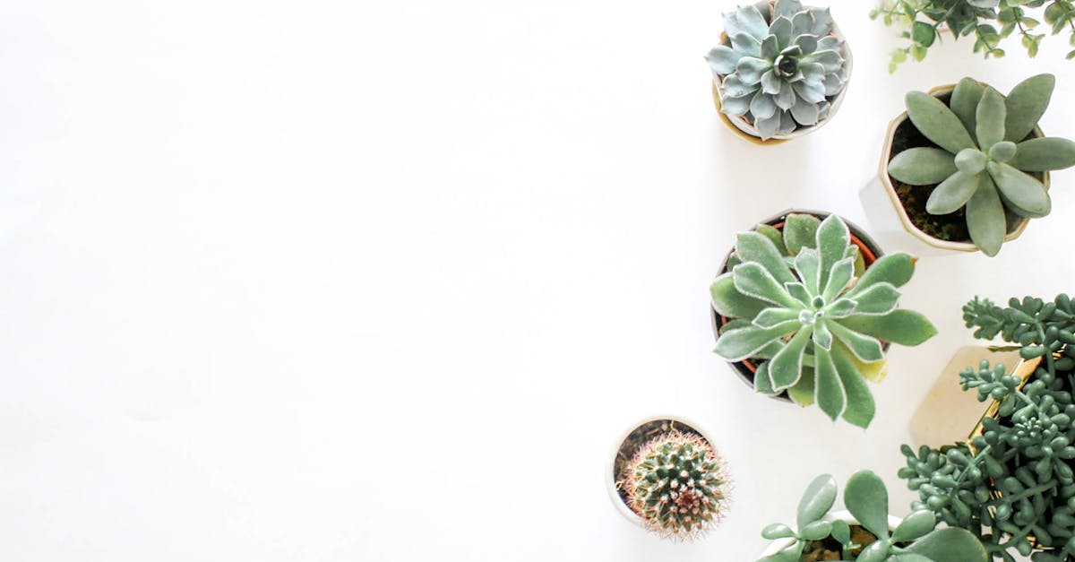 découvrez des idées inspirantes pour décorer votre espace avec style. des conseils, des astuces et des tendances pour transformer votre intérieur et refléter votre personnalité.