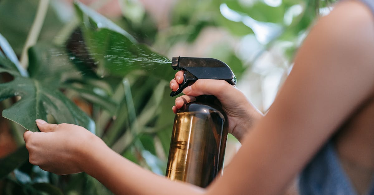 découvrez notre kit de brumisation, idéal pour rafraîchir vos espaces extérieurs. facile à installer, il offre une solution efficace pour lutter contre la chaleur tout en créant une ambiance agréable. parfait pour les jardins, terrasses ou piscines, ce kit vous permettra de profiter de vos moments en plein air tout en restant confortablement au frais.