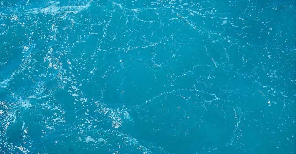 découvrez l'aqua basket, une activité sportive innovante alliant natation et basket-ball, idéale pour renforcer votre condition physique tout en vous amusant. rejoignez-nous pour des sessions dynamiques et rafraîchissantes dans une ambiance conviviale.