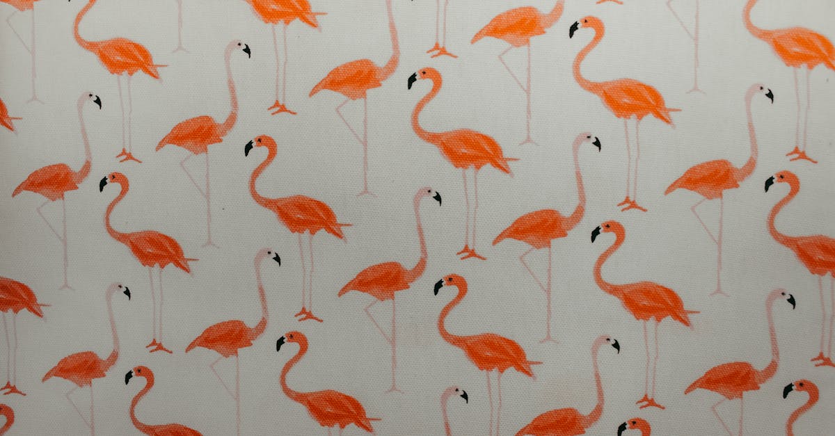 découvrez le monde fascinant des flamants roses, ces majestueux oiseaux aux plumes vibrantes. apprenez-en davantage sur leur habitat, leur comportement et les raisons de leur coloration unique. plongez dans la beauté naturelle des flamants et leur rôle dans l'écosystème.