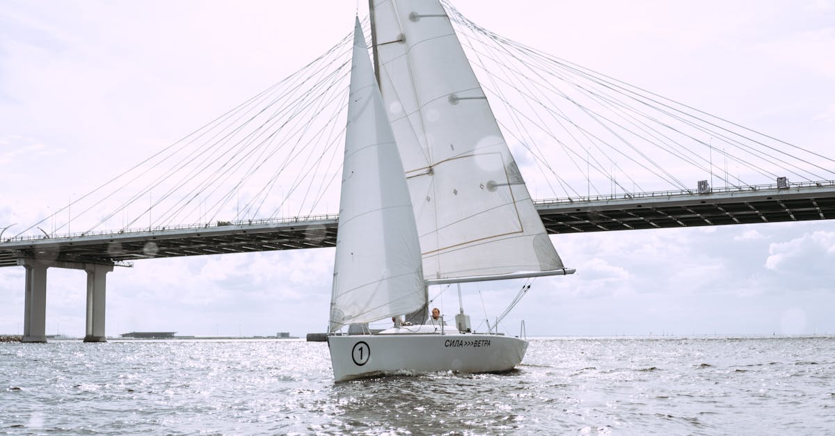 découvrez le concept innovant du pont flottant, une structure moderne alliant design et ingéniosité technique. explorez les avantages de ces ponts écoresponsables qui offrent des solutions de transport durables sur l'eau.