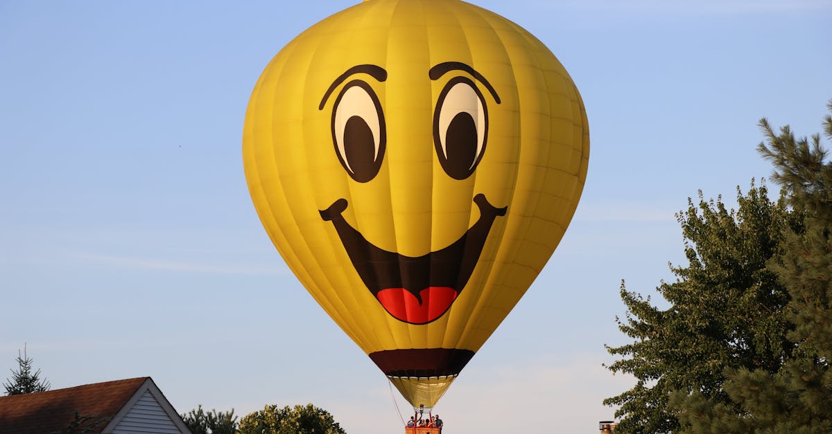 découvrez notre large sélection de souffleurs gonflables, idéals pour animer vos événements et garantir des heures de plaisir. faciles à utiliser et durables, ces équipements vous permettront de créer des espaces festifs et colorés en un rien de temps. parcourez notre collection pour trouver le souffleur parfait pour vos besoins !