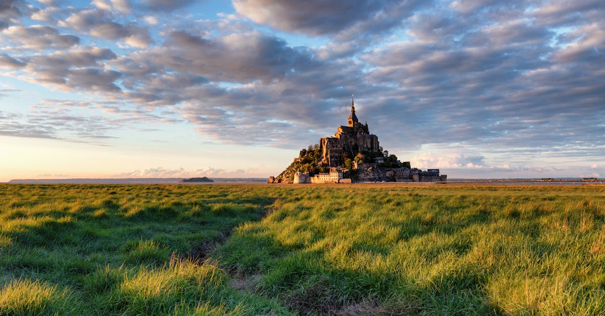 découvrez notre château gonflable, une attraction ludique idéale pour les fêtes d'anniversaire et les événements en plein air. offrez à vos enfants des heures de divertissement et de joie en toute sécurité.