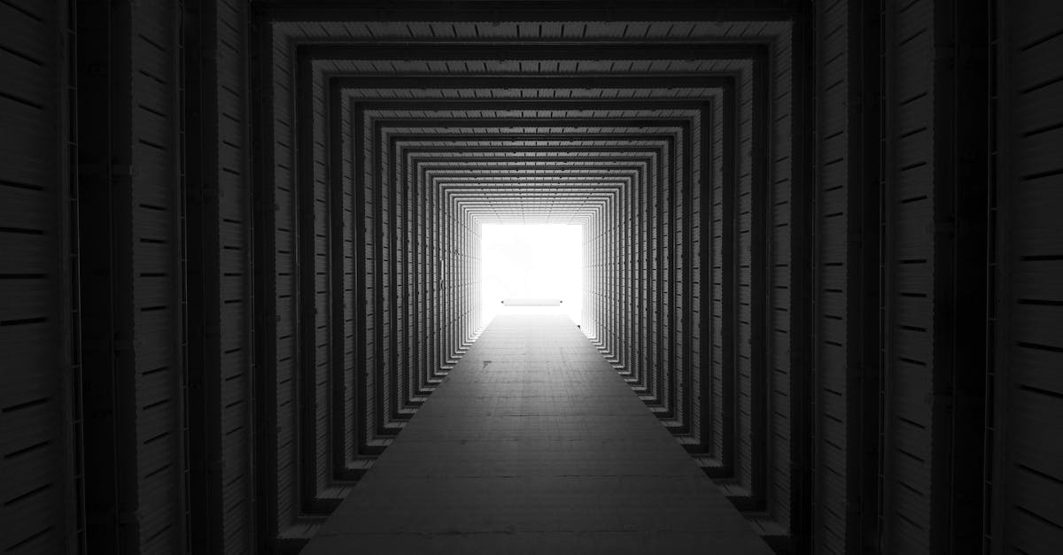 découvrez notre incroyable tunnel gonflable, parfait pour animer vos événements et activités en plein air. facile à installer et à transporter, il offre une expérience unique aux enfants et adultes. idéal pour les fêtes, les foires ou comme structure de jeu, il ajoute une touche de fun et d'aventure à toutes vos occasions!