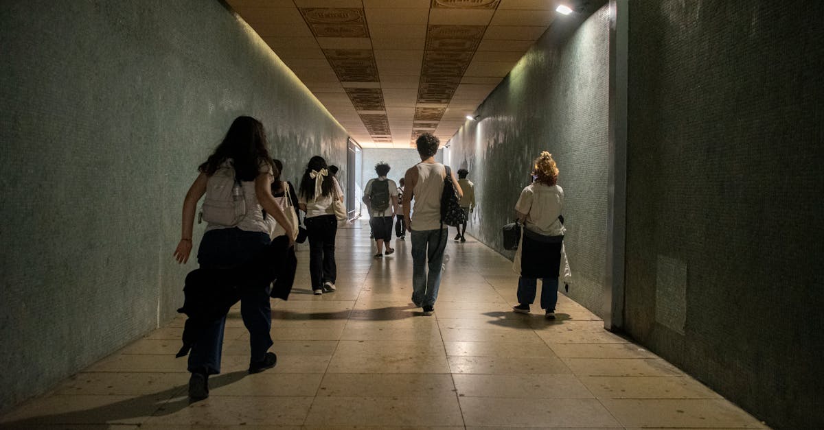 découvrez notre tunnel gonflable, idéal pour les événements et les activités en plein air. pratique, facile à installer et à transporter, ce tunnel offre un espace amusant et sécurisé pour les enfants et les adultes. parfait pour les fêtes, les festivals ou comme aire de jeux. faites de chaque occasion un moment inoubliable avec notre tunnel innovant !