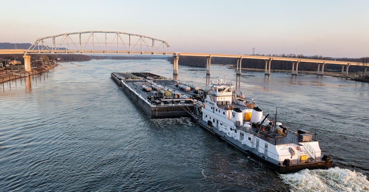 découvrez l'authenticité des bateaux à vapeur du fleuve mississippi, un voyage inoubliable à travers l'histoire et la culture du sud des états-unis. embarquez pour une croisiÚre paisible et admirez les paysages pittoresques tout en savourant une cuisine délicieuse.
