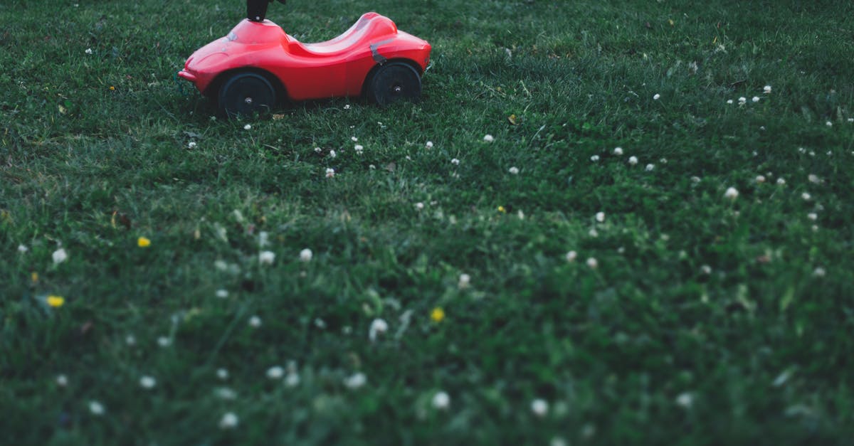 découvrez un univers ludique au sein de notre playground, conçu pour les enfants de tous ùges. offrant des équipements modernes et sûrs, cet espace de jeux est idéal pour stimuler l'imagination et favoriser l'interaction sociale. venez vous amuser en toute sécurité !