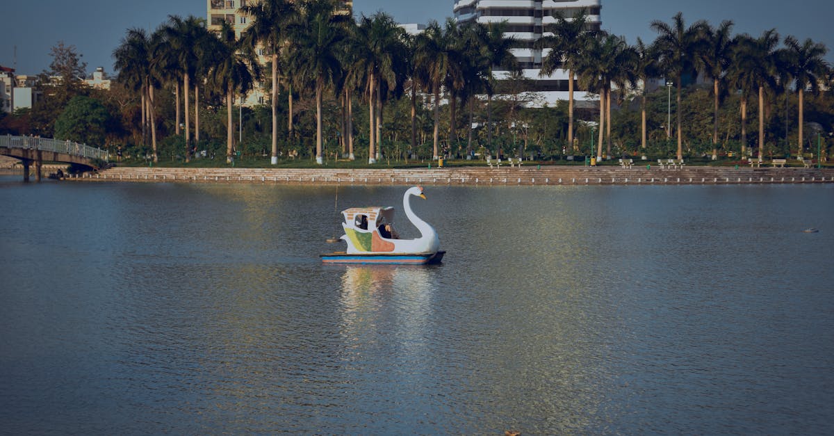 découvrez le plaisir de naviguer sur un lac en pédalo cygne, une activité amusante et familiale qui vous permettra de profiter de la nature tout en vous divertissant. parfait pour des sorties en groupe ou des moments de détente, nos bateaux cygnes sont une expérience à ne pas manquer !