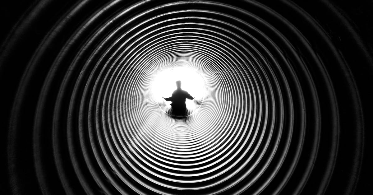 découvrez l'incroyable tunnel gonflable en forme de baleine, parfait pour le divertissement des enfants et des adultes. idéal pour les fêtes, les parcs aquatiques ou les événements en plein air, ce tunnel amusant apporte une touche ludique et originale à vos activités. facile à installer et à transporter, il garantit des heures de plaisir inoubliable!