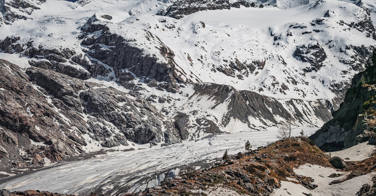 découvrez l'importance de l'hivernage pour protéger votre maison et vos équipements durant la saison froide. nos conseils pratiques vous guideront pour préparer efficacement votre espace afin de prévenir les dommages liés au gel. apprenez à sécuriser vos tuyaux, isoler vos fenêtres et effectuer d'autres préparatifs essentiels pour un hiver serein.